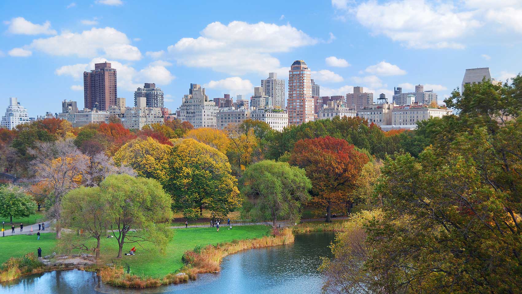 A view of Central Park in the Fall