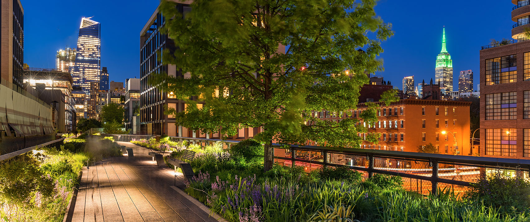 The Highline at Night